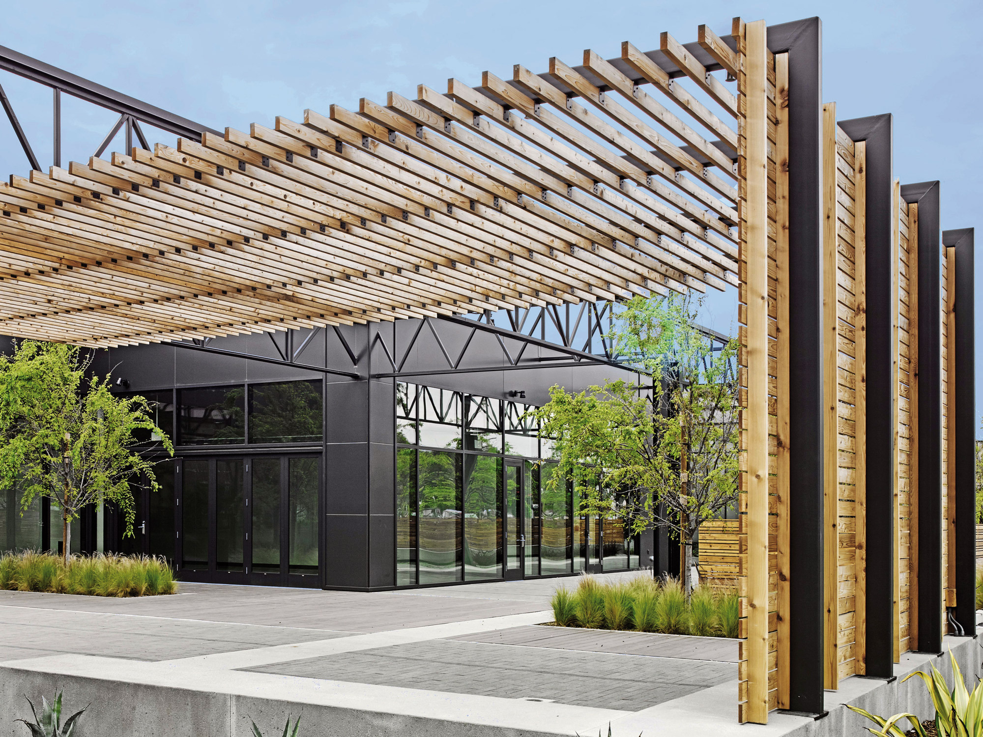Modern architectural design featuring a series of vertical wooden slats creating a dynamic pergola over an outdoor walkway, contrasted against the sleek, dark glass facade of an office building, surrounded by lush greenery and concrete pathways.