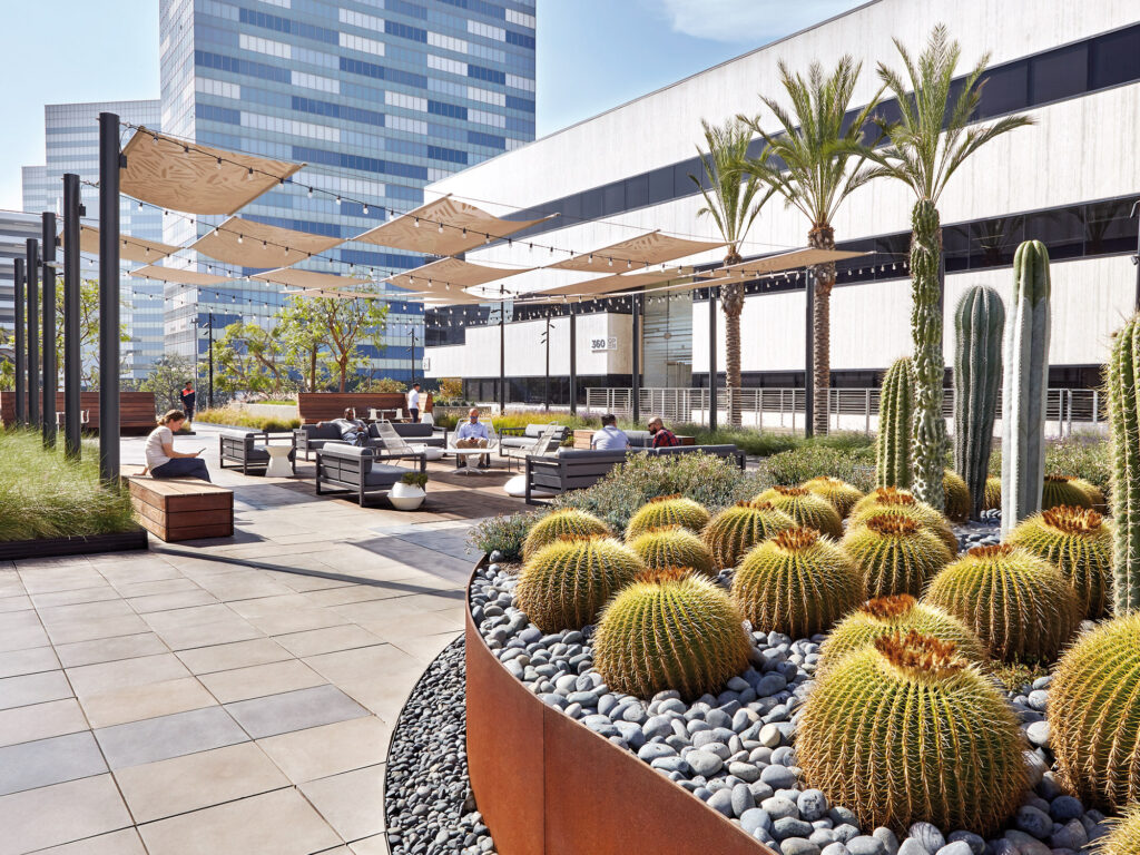 A modern terrace furnished with comfortable seating amidst lush potted plants and cacti, under the shade of elegant pergolas with a backdrop of urban high-rise buildings.