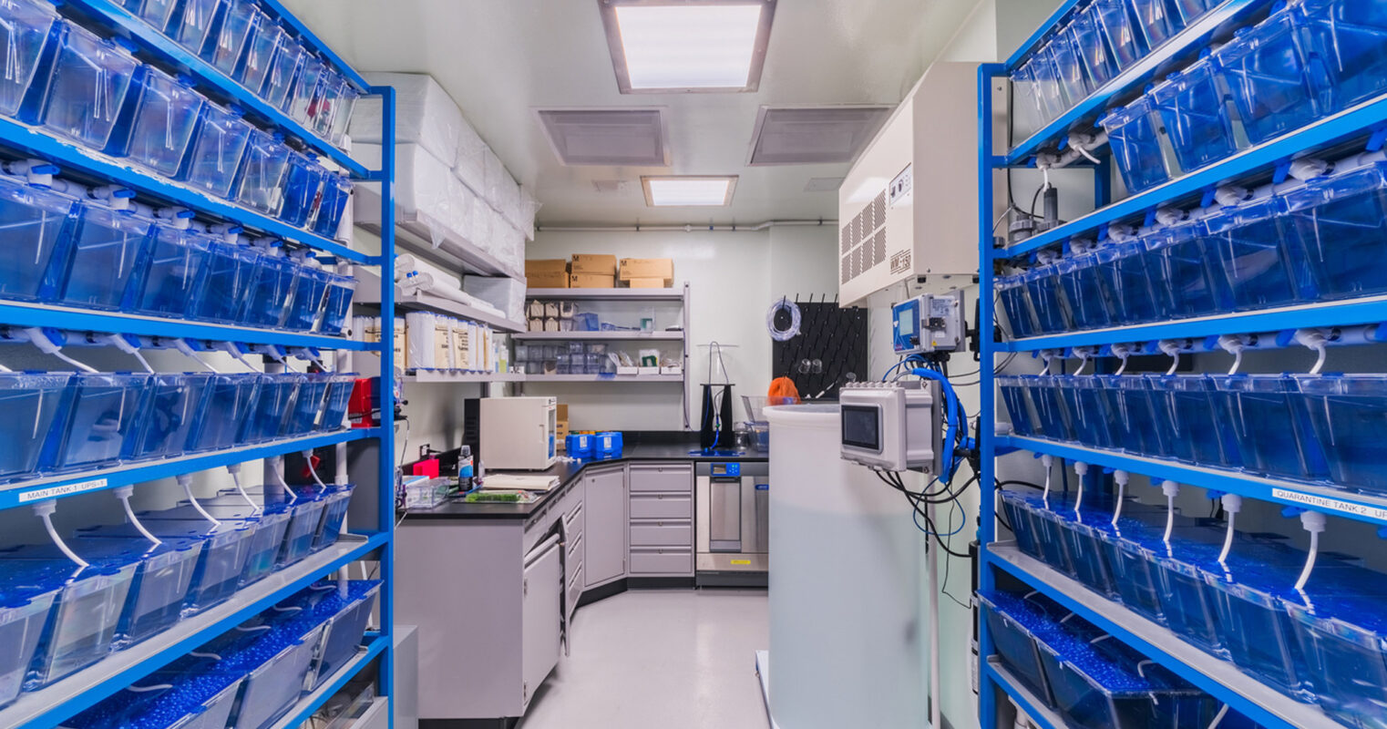A meticulously organized laboratory interior with vibrant blue storage bins on steel shelving units, durable epoxy resin countertops, and state-of-the-art equipment ensuring a sterile and efficient research environment.
