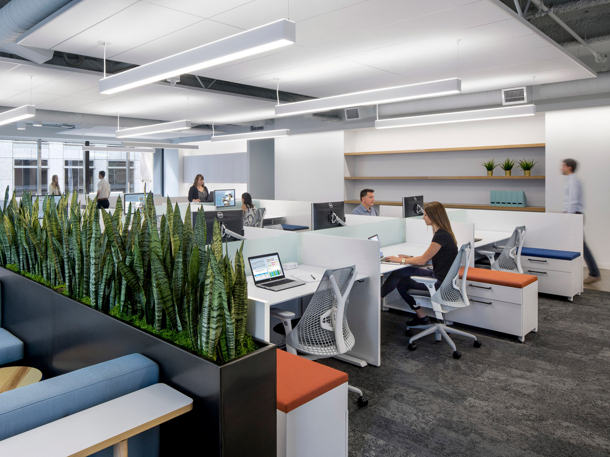 Minimalist office interior featuring open-plan workspaces with ergonomic chairs, white desks, potted green plants creating a natural divider, and sleek, overhead linear lighting. The color palette combines neutral tones with blue and orange accents, fostering a contemporary, collaborative environment.