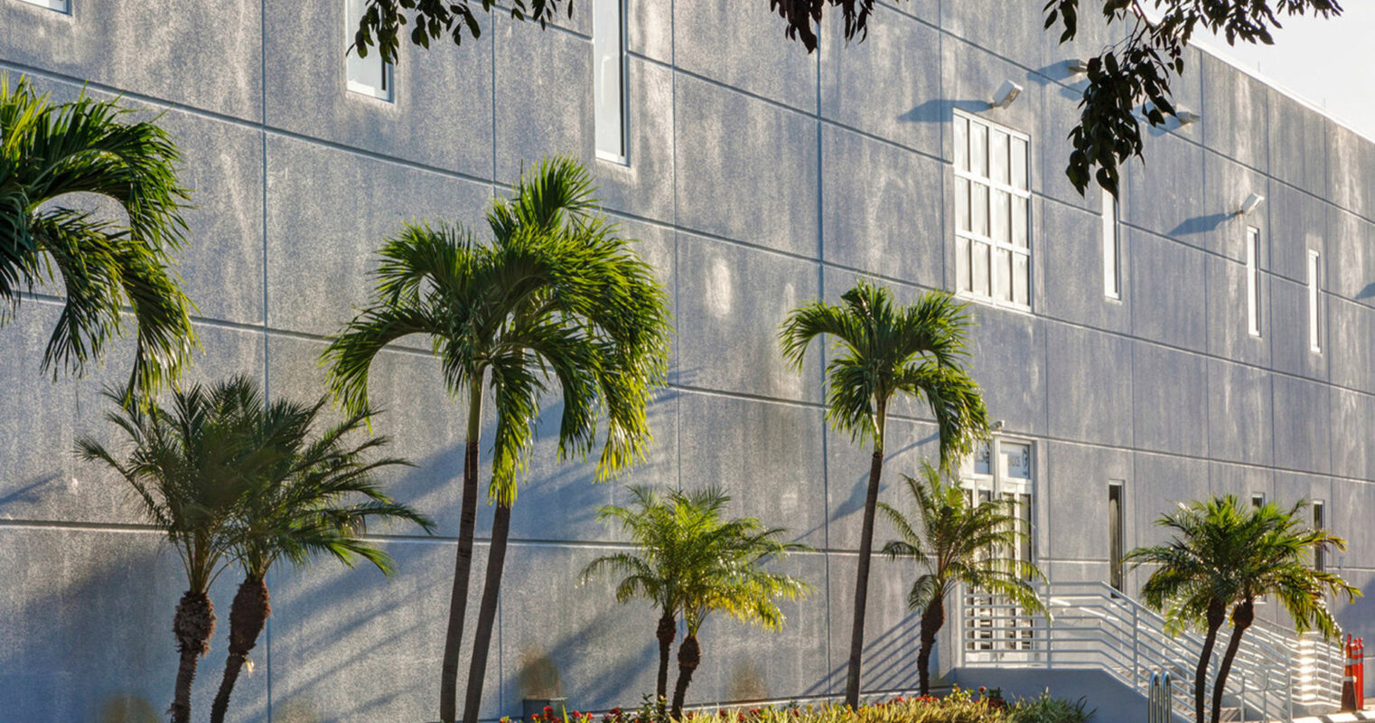 Sunlit modern building exterior with articulated gray facade and rhythmic white-framed windows, flanked by lush palm trees and vibrant tropical landscaping, showcasing architectural use of natural light and vegetation integration.