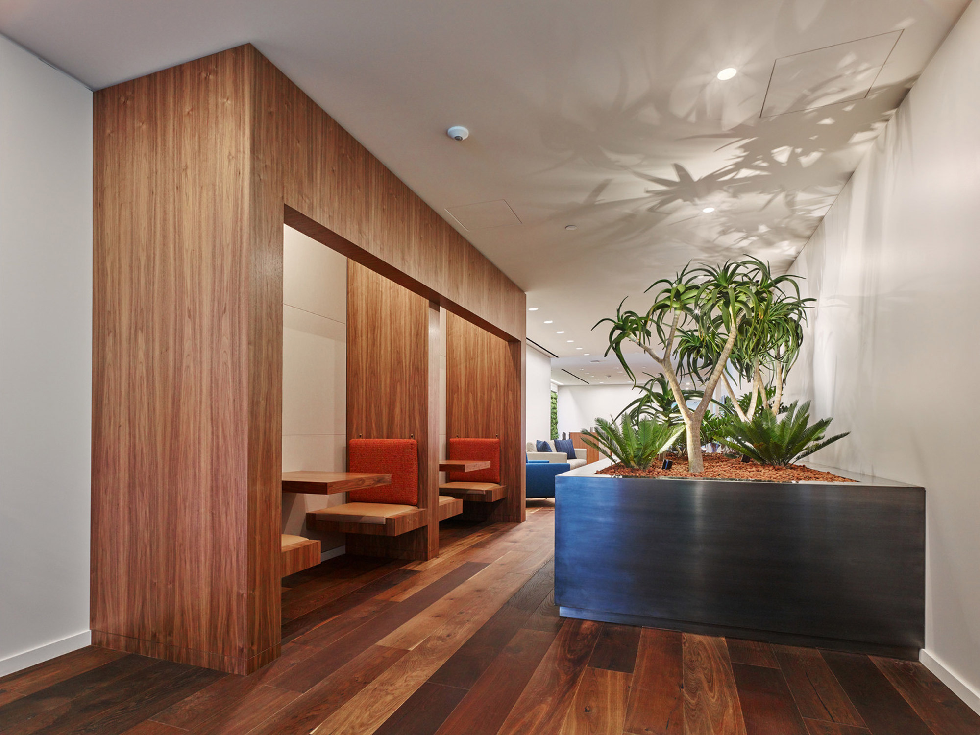 Modern interior featuring warm-toned wooden panels, sleek built-in bench seating, and a raised, dark-hued planter with lush greenery. Textured white ceiling panels complement the rich wooden flooring, enhancing the space with a blend of organic and contemporary design elements.