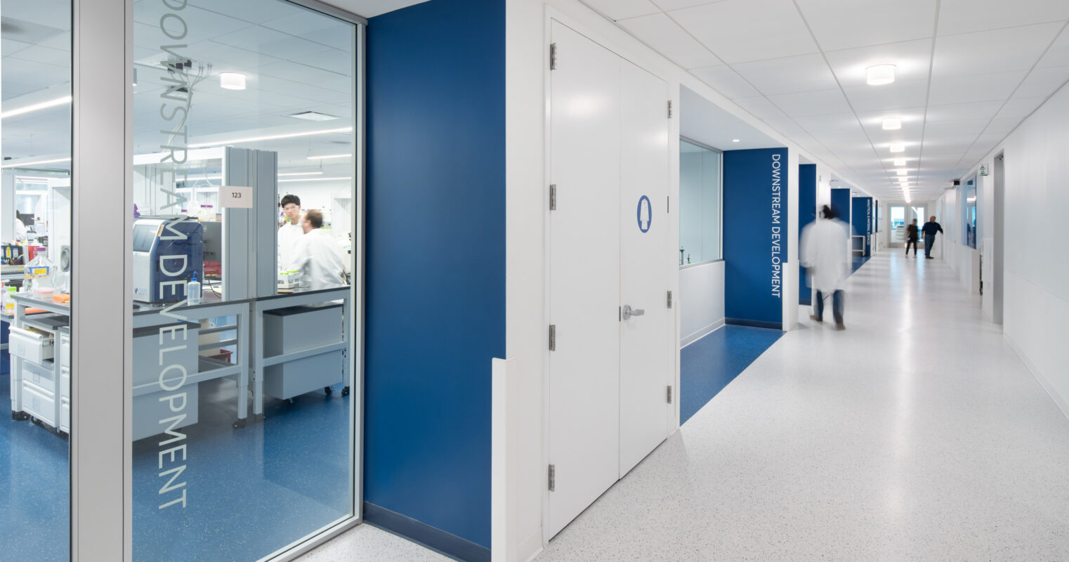 A bright, modern corridor features sleek, white walls with vibrant blue accents. Glass panels provide views into a dynamic workspace, marked by “Downstream Development.” The resilient flooring offers durability and ease of maintenance, supporting an efficient and collaborative environment in this contemporary medical facility.