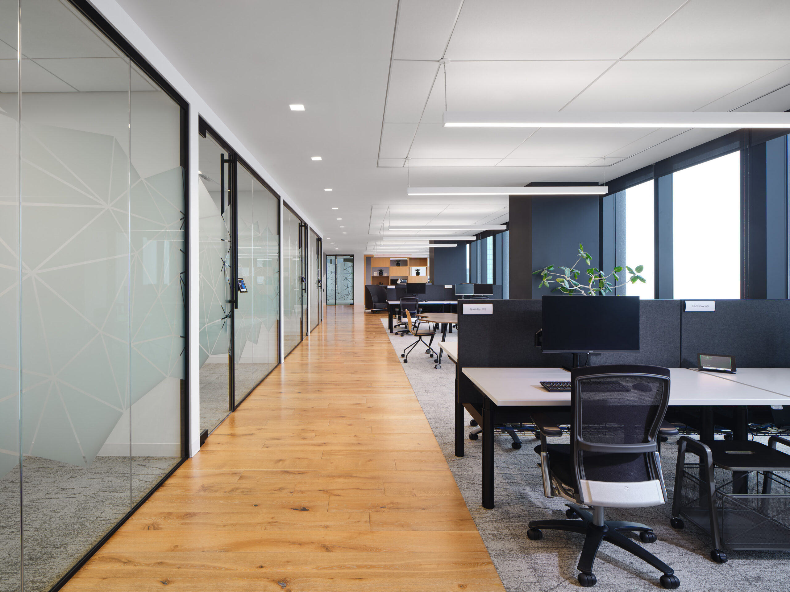 Modern office interior featuring an open-plan layout with natural light streaming through large windows. Individual workstations are arranged along a polished wooden floor, complemented by sleek black dividers. Glass-walled conference rooms enhance transparency, while greenery adds a touch of nature, promoting a collaborative and inviting atmosphere.