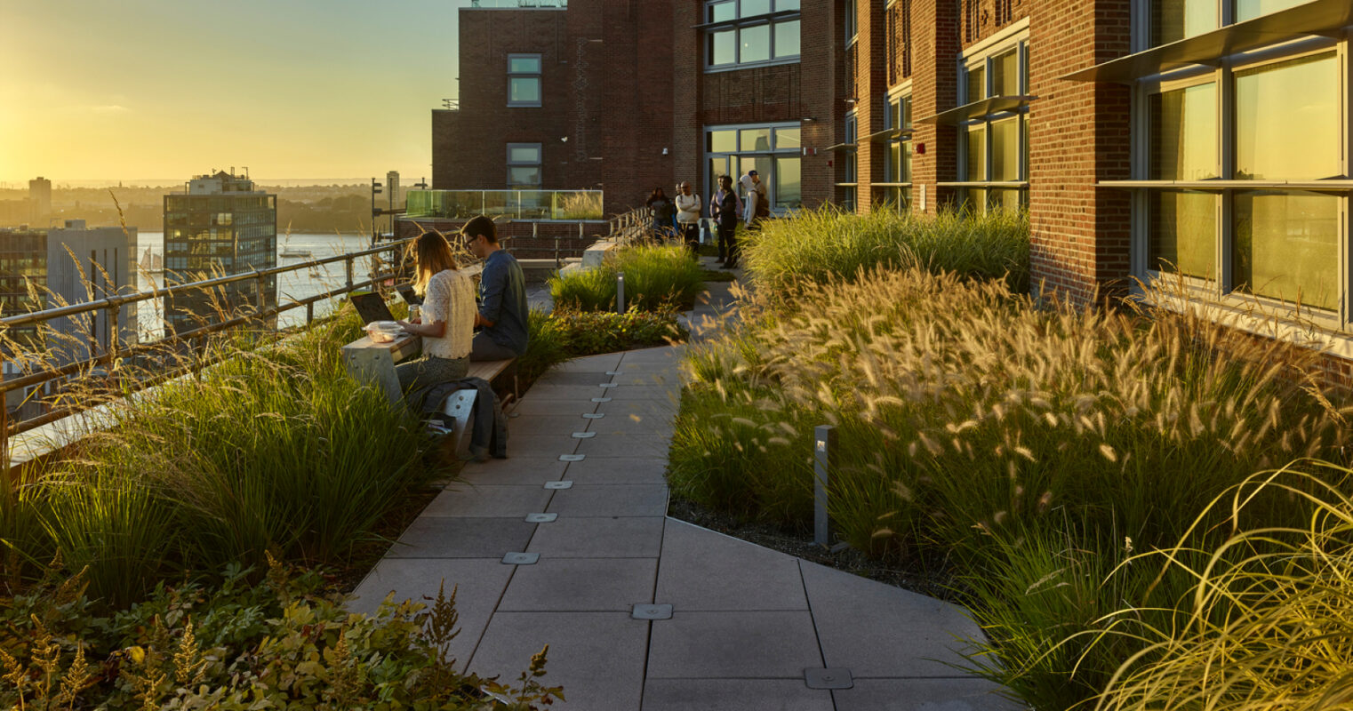People enjoying a peaceful evening on a modern rooftop garden with lush greenery, comfortable seating, and a view of the cityscape under a warm, golden sunset.