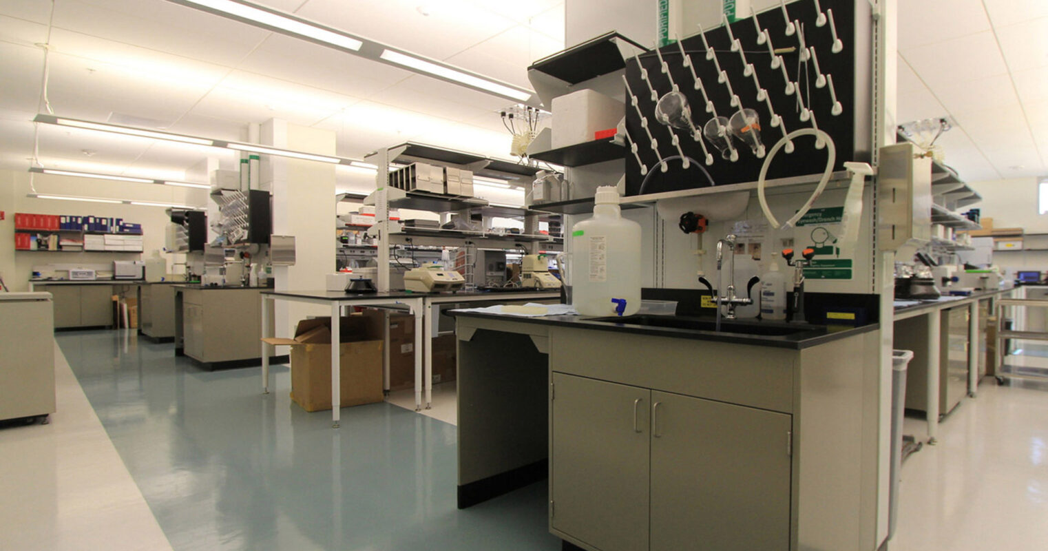 Modern laboratory interior showcasing stainless steel benches, epoxy resin countertops, and state-of-the-art scientific equipment under bright overhead lighting. Epoxy flooring ensures durability and cleanliness against chemical spills.