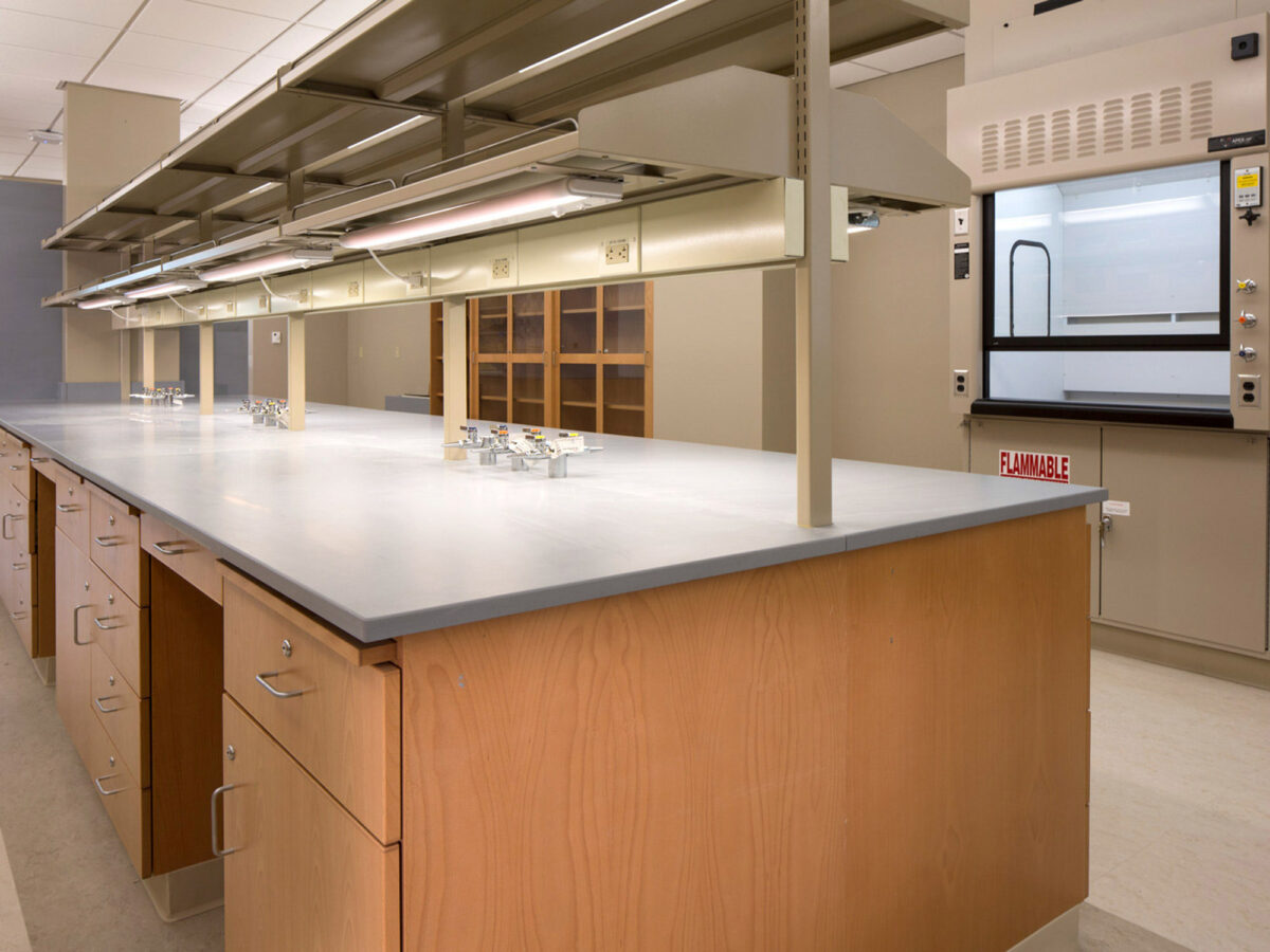 Modern laboratory interior features expansive, uncluttered countertops with integrated sinks, flanked by wooden storage cabinets. Overhead, adjustable-position lighting and multiple service fixtures complement a fume hood ensuring a safe, functional work environment.